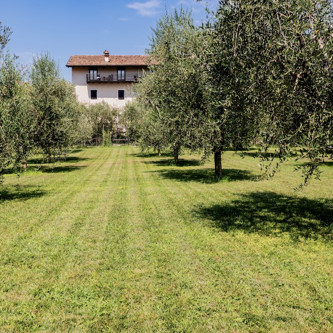Appartamenti a Riva del Garda con vista lago e uliveti – Oliveto Apartments