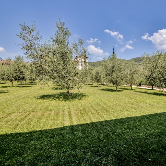 Appartamenti a Riva del Garda con vista lago e uliveti – Oliveto Apartments