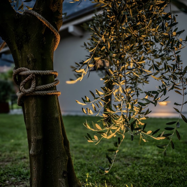 Appartamenti a Riva del Garda con vista lago e uliveti – Oliveto Apartments