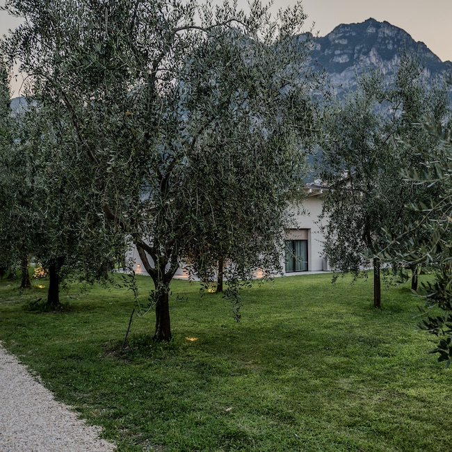 Appartamenti a Riva del Garda con vista lago e uliveti – Oliveto Apartments